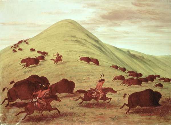 Sioux Indians hunting buffalo, 1835 by William Robert Symonds
