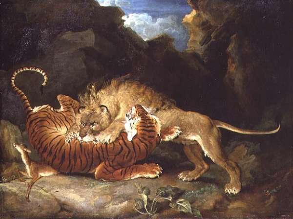 Fight between a Lion and a Tiger, 1797 by William Robert Symonds
