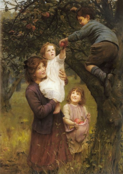 Picking Apples