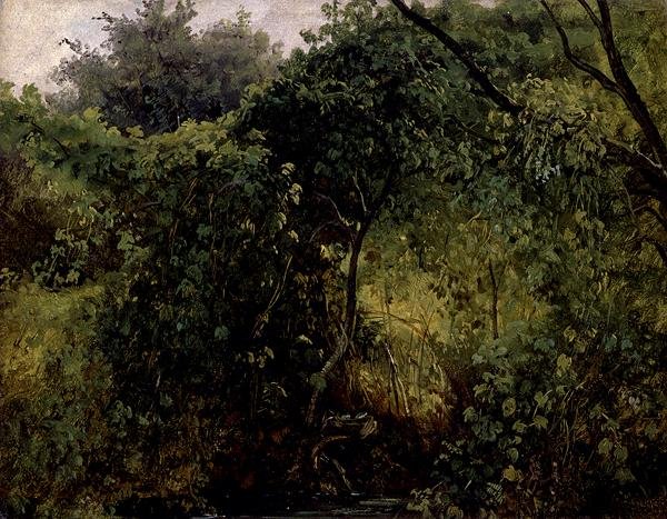 Bushes at Pillnitz, c.1818-28