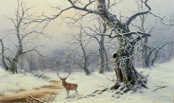 A Stag in a wooded landscape