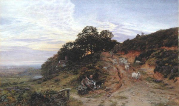 Pitch Hill near Ewhurst  1866