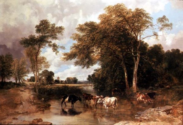 Wooded River Landscape