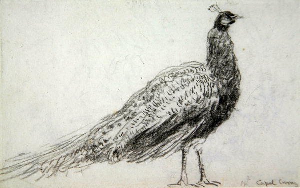 Peacock at Capel Curig, c.1845