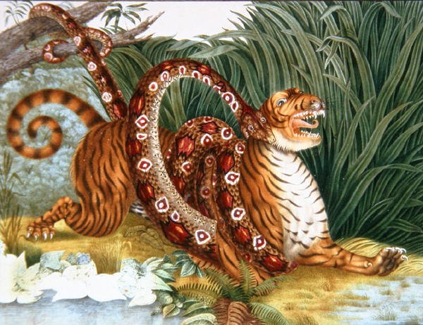 The Tiger and the Boa Constrictor, 1835