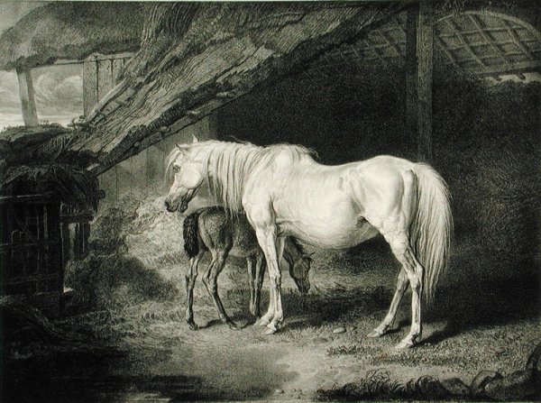 Primrose and Foal, from Celebrated Horses, a set of fourteen racing prints published by the artist, 1823-24