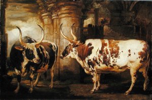 Portraits of two extraordinary oxen, the property of the Earl of Powis, 1814