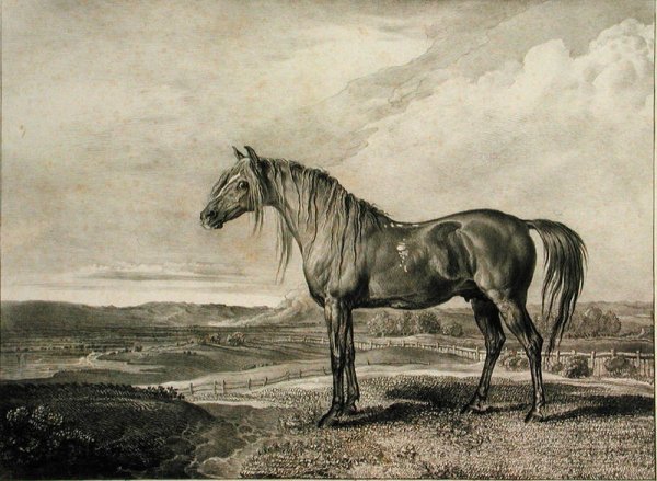 Copenhagen, from Celebrated Horses, a set of fourteen racing prints published by the artist, 1823-24