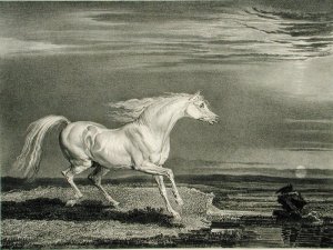 A Persian Horse, from Celebrated Horses, a set of fourteen racing prints published by the artist, 1823-24