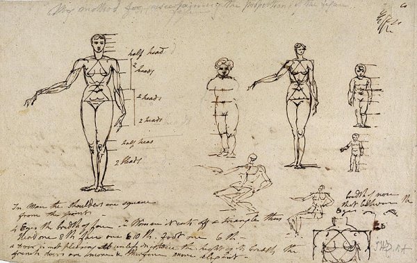 Studies of anatomy with measurements and writing