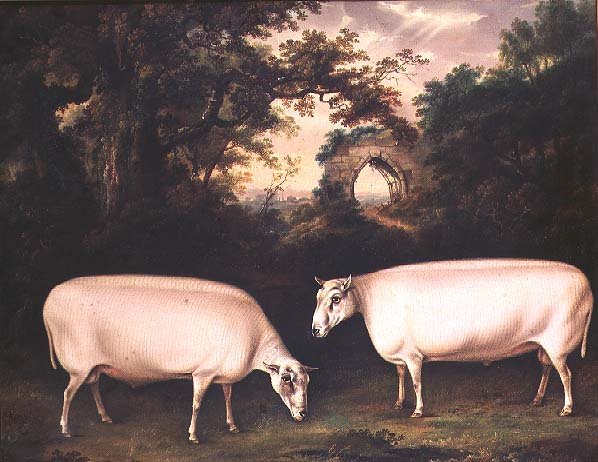 Two Prize Border Leicester Rams in a Landscape, 1800