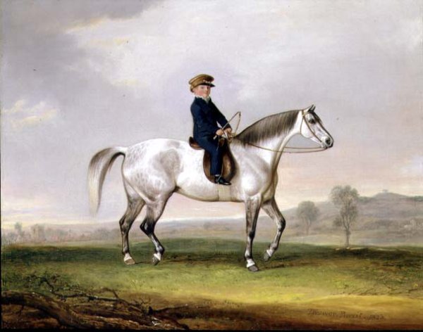 Master Edward Humphries on his Grey Pony, 1823