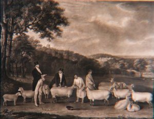 Portrait of Thomas William Coke, Esq. (1752-1842) inspecting some of his South Down sheep with Mr Walton and the Holkham shepherds, engraved by William Ward (1766-1826), 1808