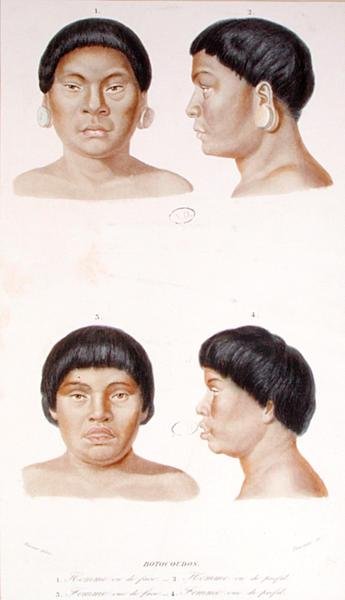 Anthropometric study of two Botocudos indians, engraved by Fournier, mid 19th century