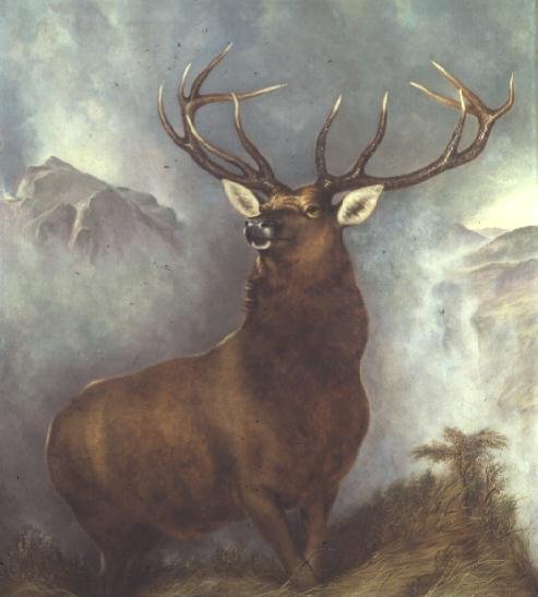 The Monarch of the Glen