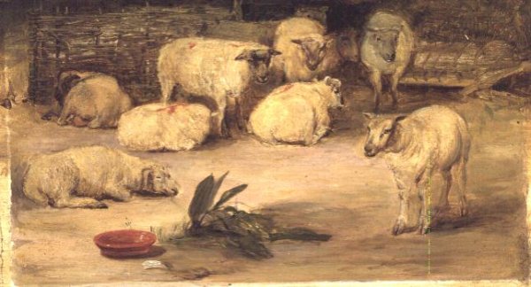 Ten Sheep in a pen