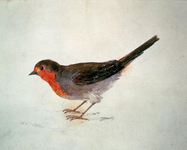 Robin, from The Farnley Book of Birds, c.1816