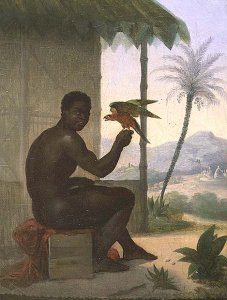 Brazilian negro with Tropical Bird