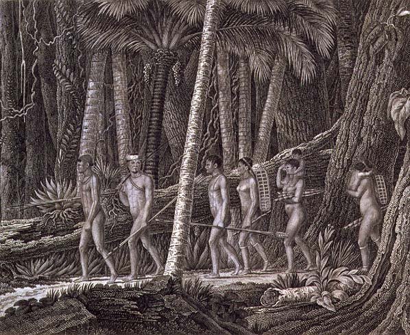 Puri Indians in the jungle, Brazil, c.1815-17