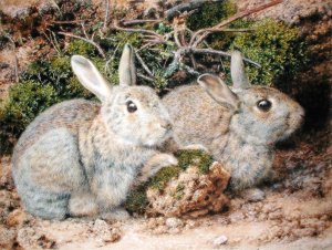 Two Rabbits