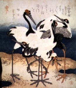 Five Cranes with White Feathers in Various Poses on a Spit of Sand, from Three Petals series, c.1816