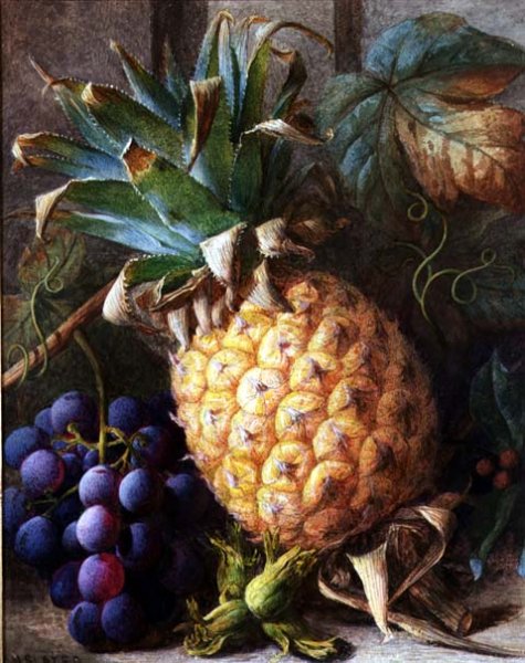 Still Life of a Pineapple and Grapes