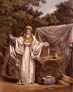 An Arch Druid in his Judicial Habit, engraved by Robert Havell 1769-1832 1815