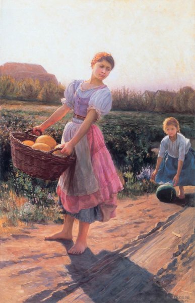 Harvesting Watermelon 1897