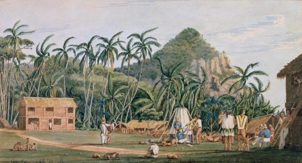 A view of the village at Pitcairn Island, December 1825