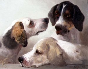 A Study of Hounds