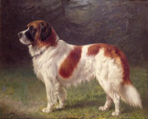 St. Bernard