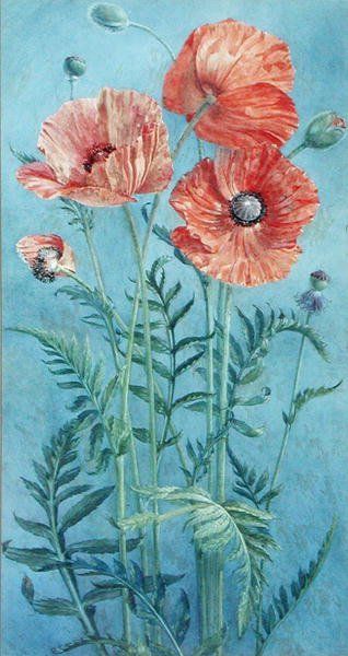 Poppies, 1916