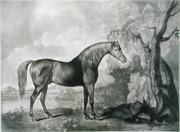 Brown Horse Mask, after George Stubbs, 1773