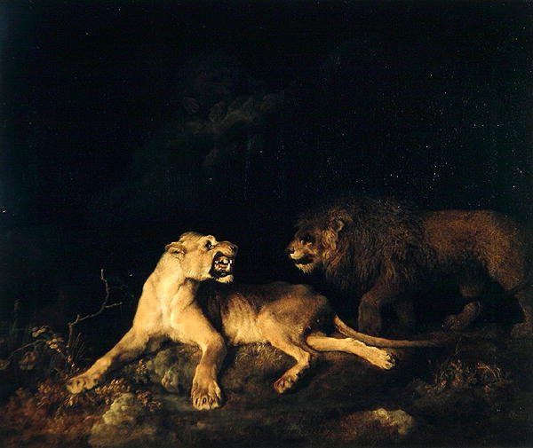 Lion and Lioness