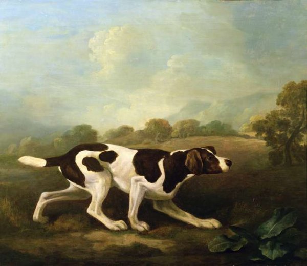 A Pointer