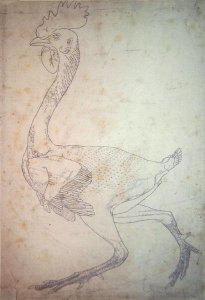 Study of a Fowl, Lateral View, from A Comparative Anatomical Exposition of the Structure of the Human Body with that of a Tiger and a Common Fowl, 1795-1806 5