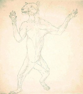 Study of a Tiger, Standing in Human Posture, from A Comparative Anatomical Exposition of the Structure of the Human Body with that of a Tiger and a Common Fowl, 1795-1806