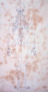 Study of the Human Figure, Posterior View, from A Comparative Anatomical Exposition of the Structure of the Human Body with that of a Tiger and a Common Fowl, c.1795-1806 2