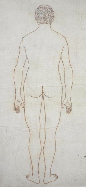 Study of the Human Figure, Posterior View, from A Comparative Anatomical Exposition of the Structure of the Human Body with that of a Tiger and a Common Fowl, c.1795-1806 10