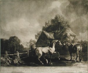 Stallion and Mare, engraved by George Townley Stubbs 1756-1815 1776