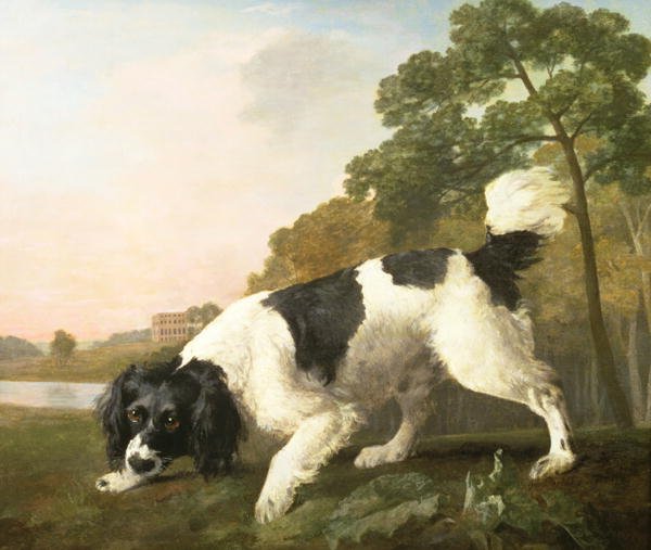 A Spaniel in a Landscape, 1771