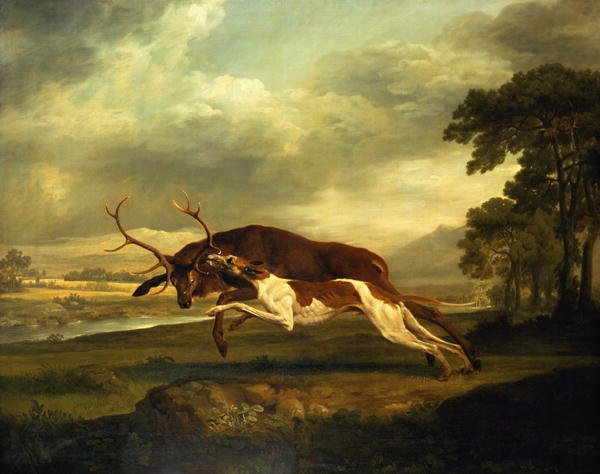 A Hound attacking a stag