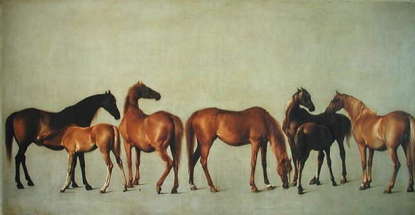 Mares and Foals without a Background, c.1762