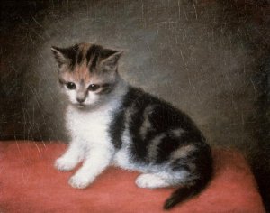 Miss Ann Whites Kitten, 1790