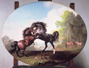 Stallions Fighting, 1781