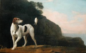 A Foxhound, c.1760