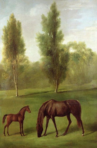 A Chestnut Mare and Foal in a Wooded Landscape, c.1761-63