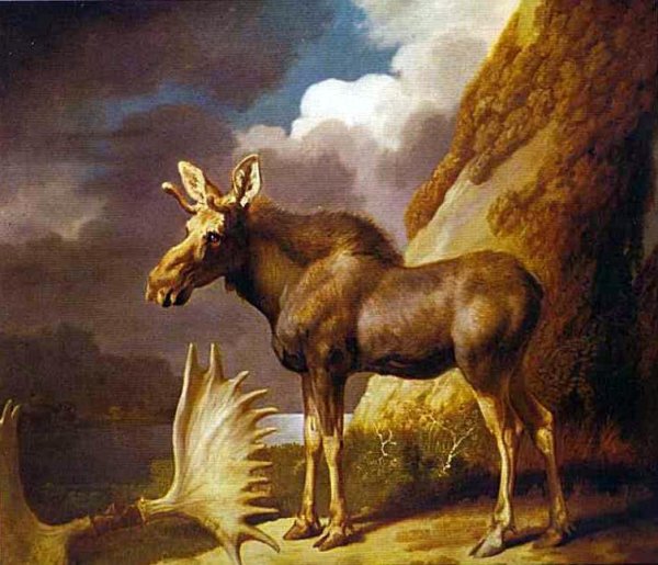 Moose, 1770