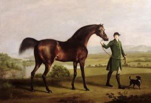 A Horse Belonging to the Rt. Honourable Lord Grosvenor called Bandy from his Crooked Leg, exh. 1763