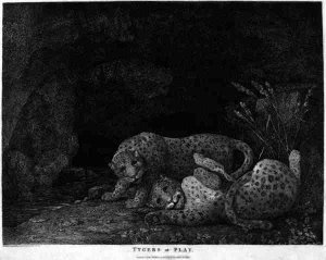 Tygers at Play, engraved by the artist, pub. 1789